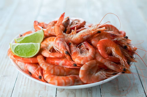 خرید میگو سرتیز + خرید عمده